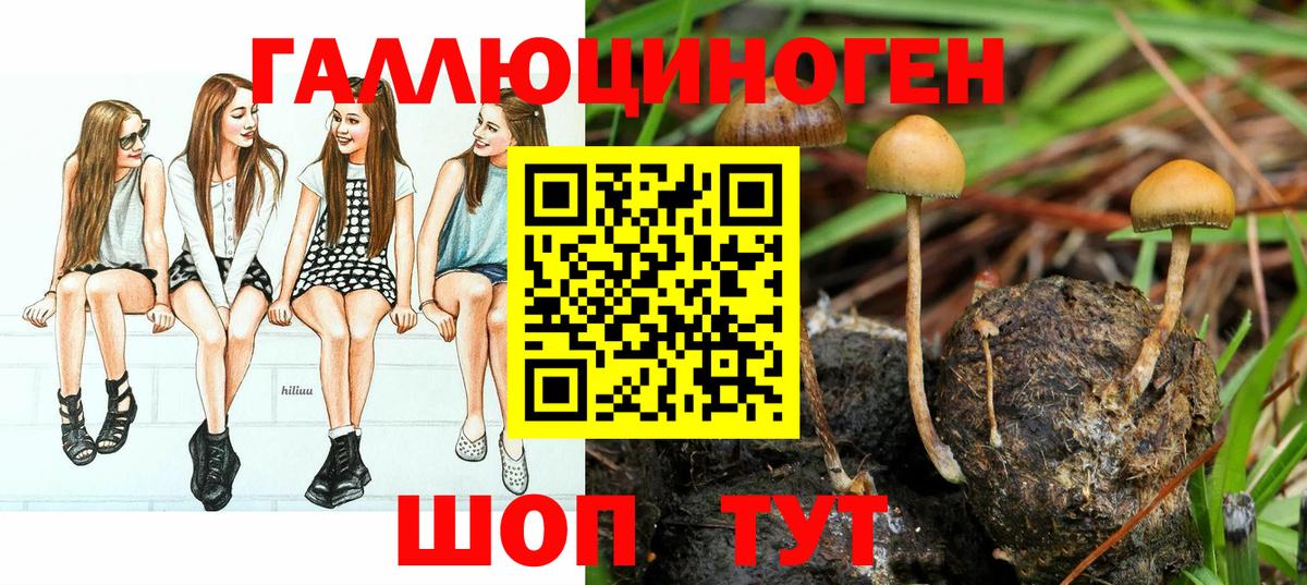 Псилоцибиновые грибы Magic Shrooms Воркута