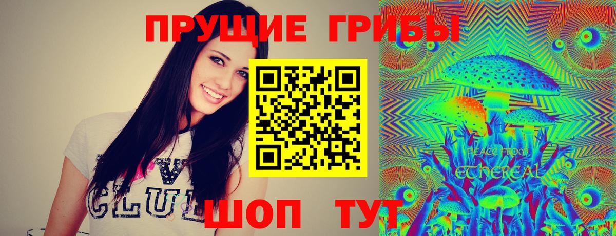 Галлюциногенные грибы Psilocybe  Вход с VPN  Воркута 